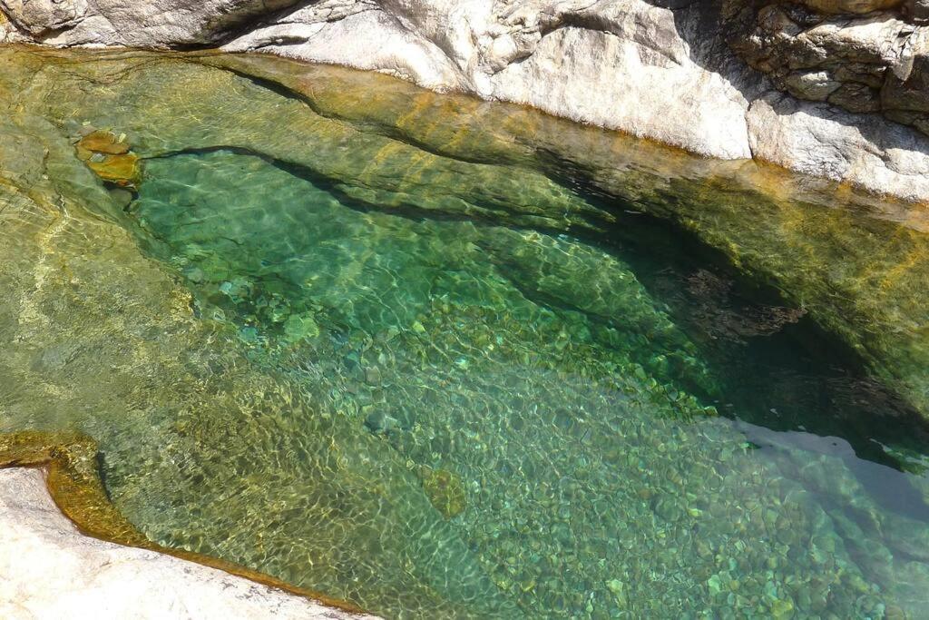 Le Capu Biancu-Location Avec Vue Proche Des Gorges De L Asco Entre Mer Et Montagne Moltifao Extérieur photo